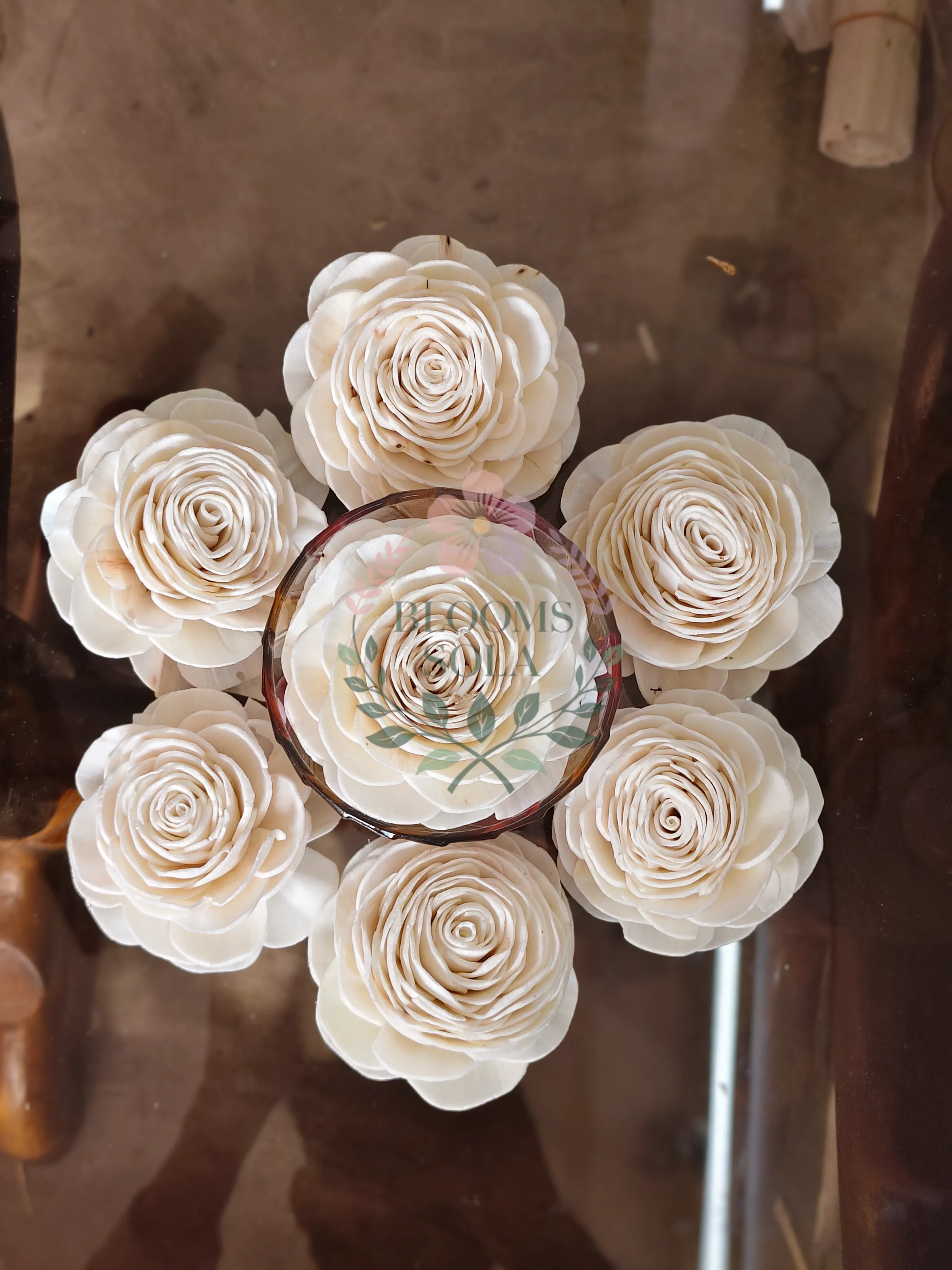 Sola Rose Masterpieces