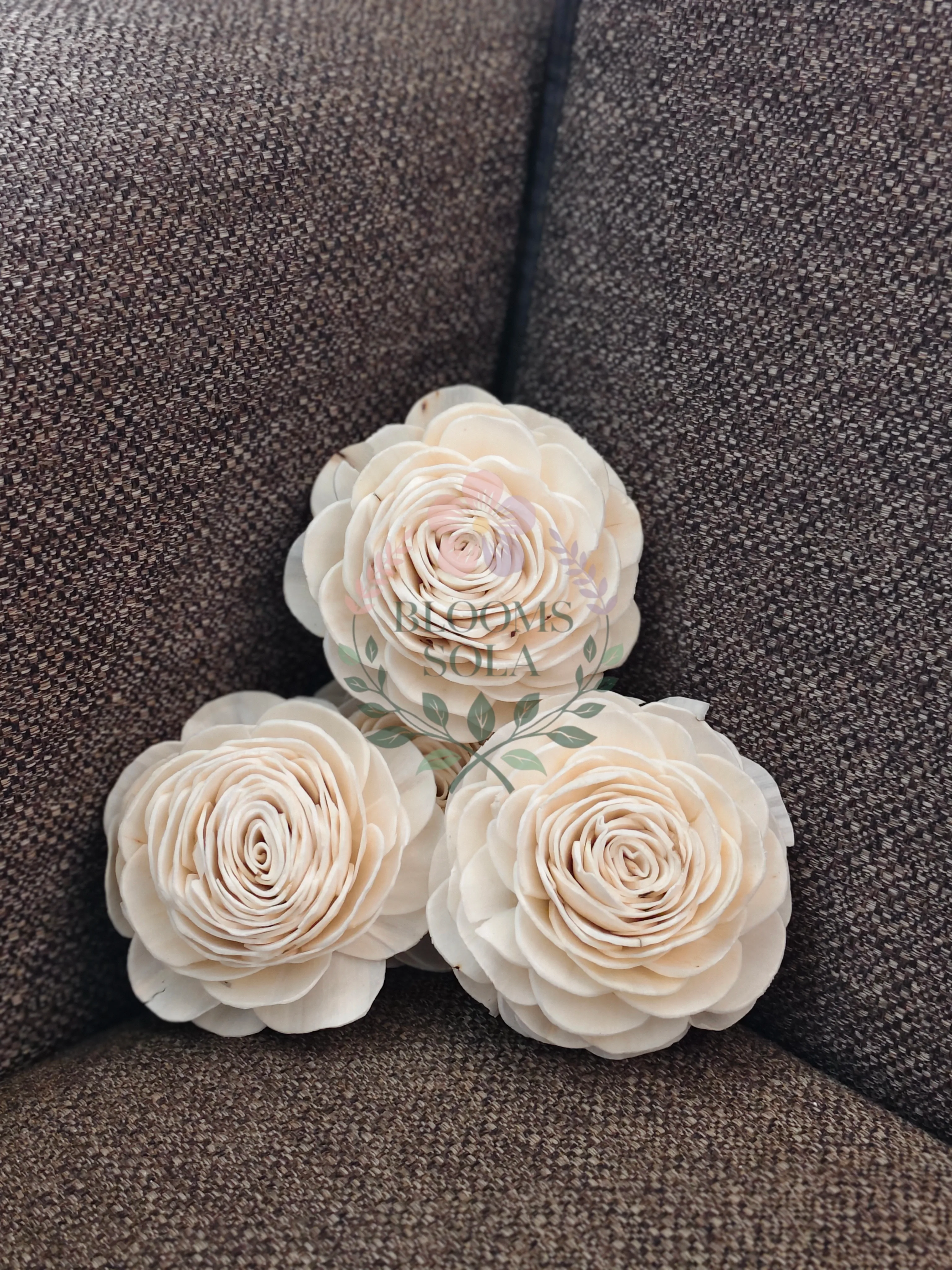 Sola Dahlia Artistry