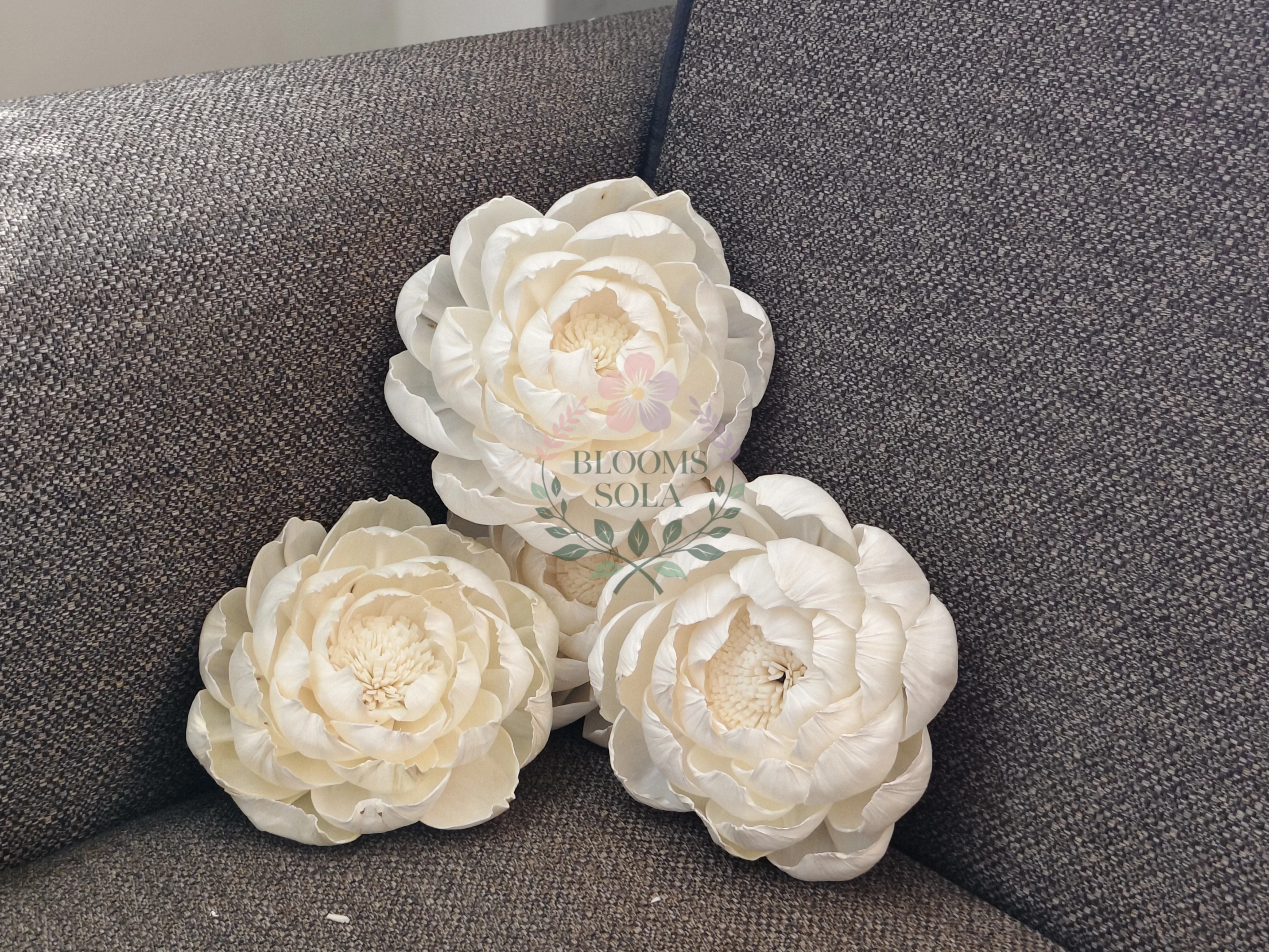 Sola Peony Flowers