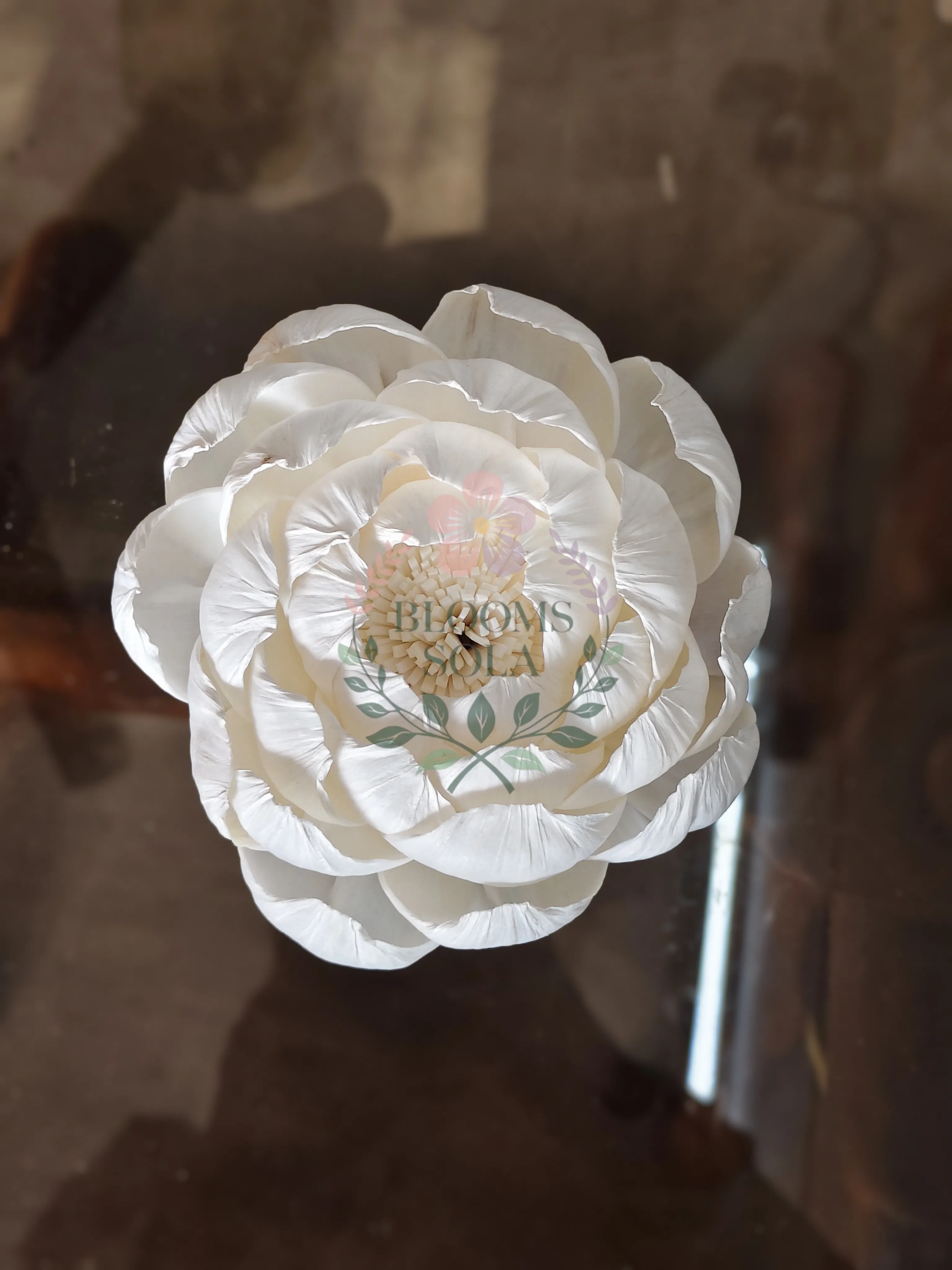 Lush Peony Bloom