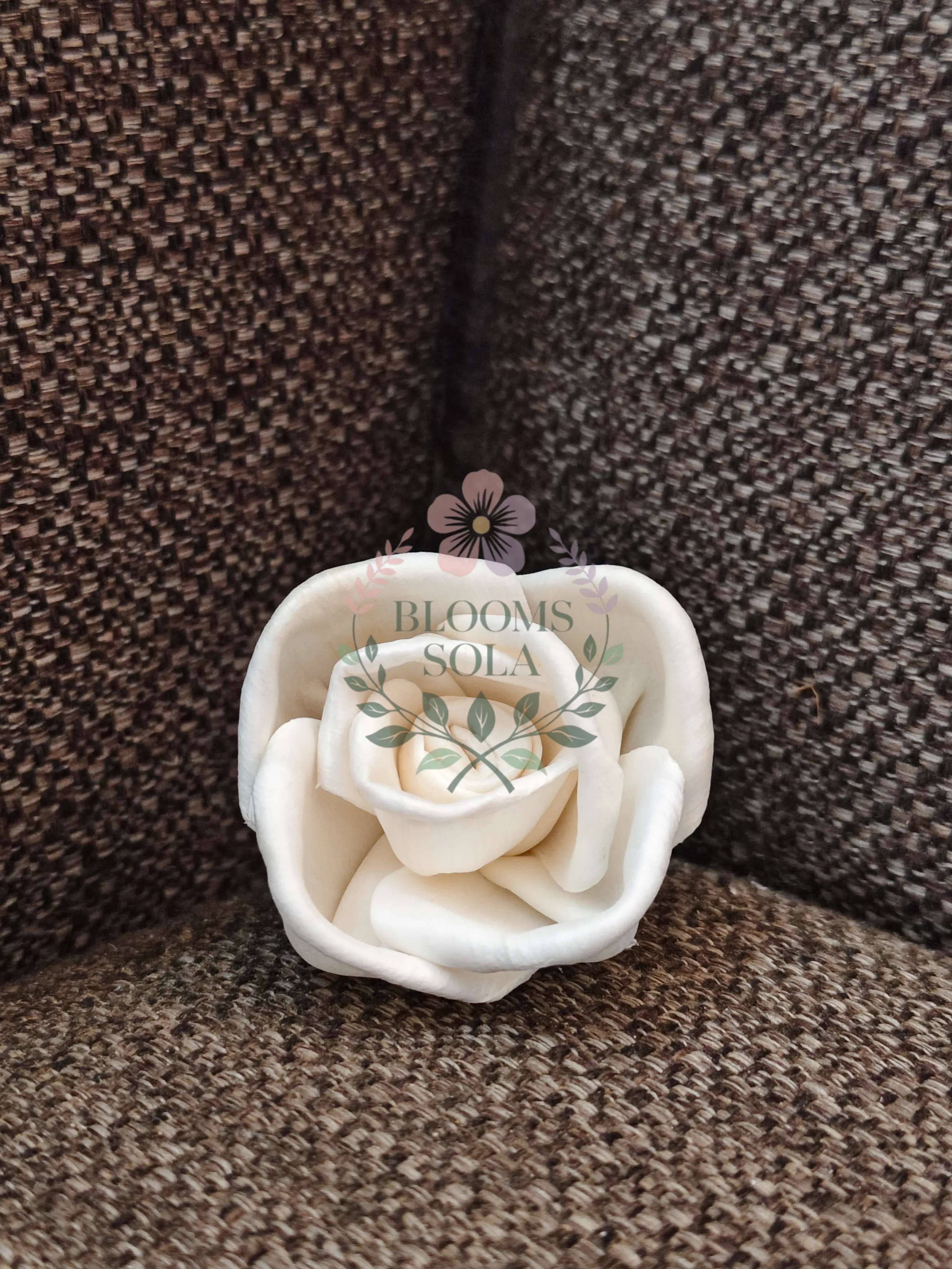 Blush Rose Dream Sola Flower