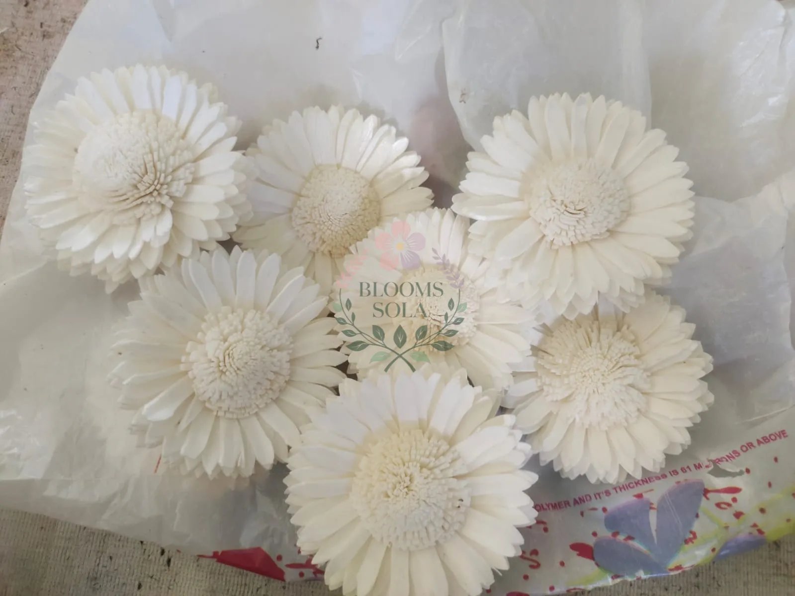 Sola Sunflower Collection